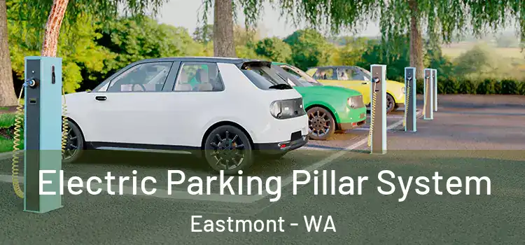 Electric Parking Pillar System Eastmont - WA