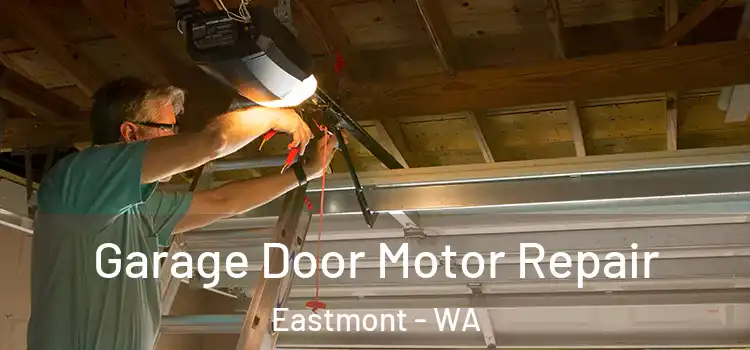  Garage Door Motor Repair Eastmont - WA