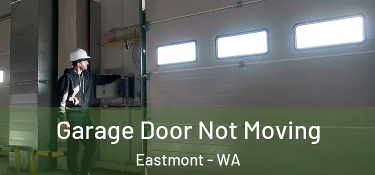 Garage Door Not Moving Eastmont - WA