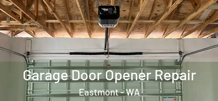  Garage Door Opener Repair Eastmont - WA