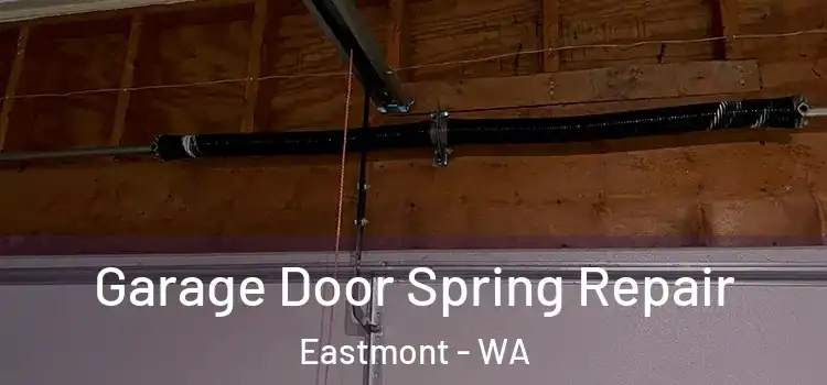  Garage Door Spring Repair Eastmont - WA