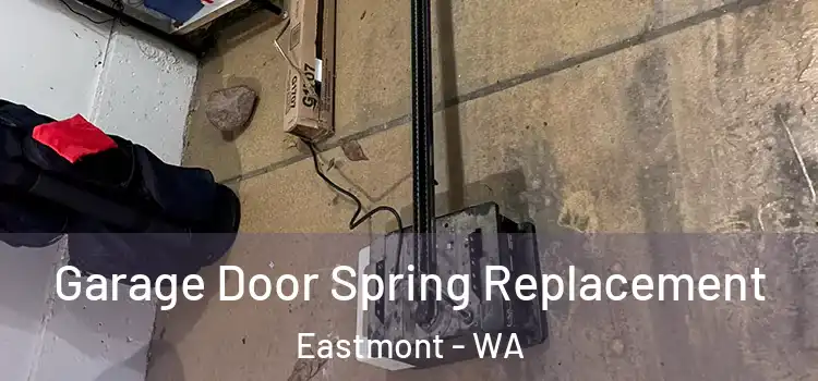  Garage Door Spring Replacement Eastmont - WA