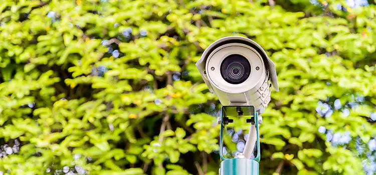 Advanced Surveillance Solutions for Every Need in Eastmont
