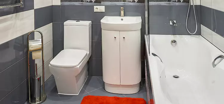 Hansgrohe Shaving Mirror Eastmont