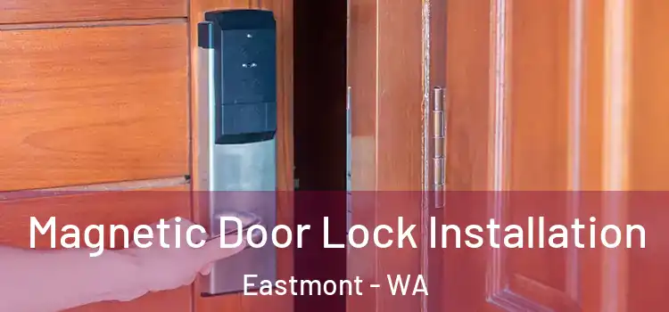  Magnetic Door Lock Installation Eastmont - WA