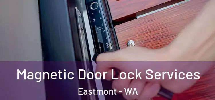 Magnetic Door Lock Services Eastmont - WA