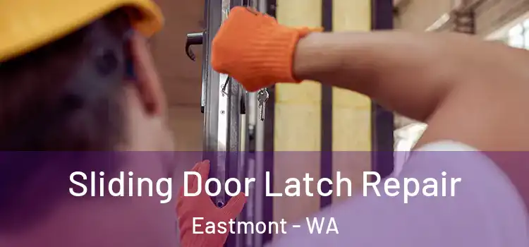  Sliding Door Latch Repair Eastmont - WA